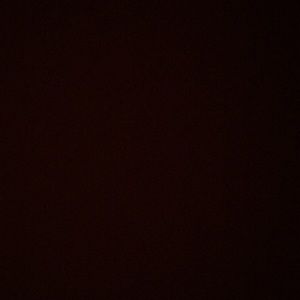 Meet your Posher, Jerry